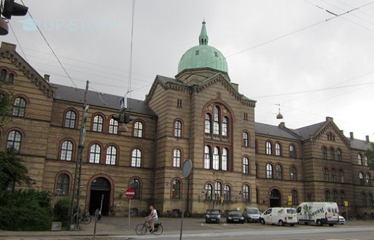 ТОП університетів світу: Університет Копенгагена (University of Copenhagen). Огляд університету