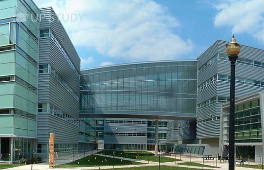 ТОП університетів світу: Університет штату Огайо (The Ohio State University). Огляд університету
