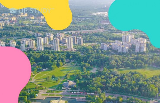 Фестиваль Fest наближається — найбільша літня подія у Силезії