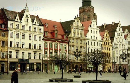 Безкоштовна вища освіта в Польщі. Які шанси?