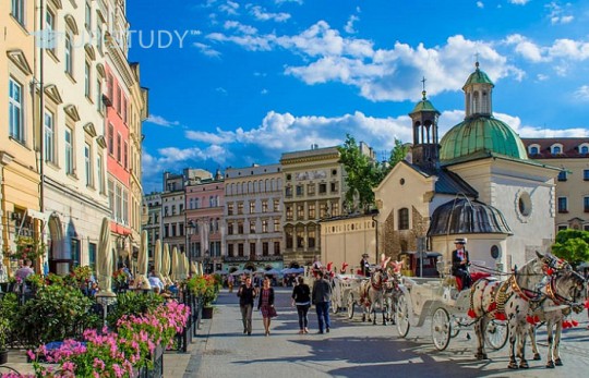 Краків для студентів. Де шукати житло?