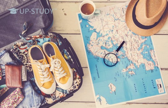 Відпустка на першій роботі. Законодавча сторона питання