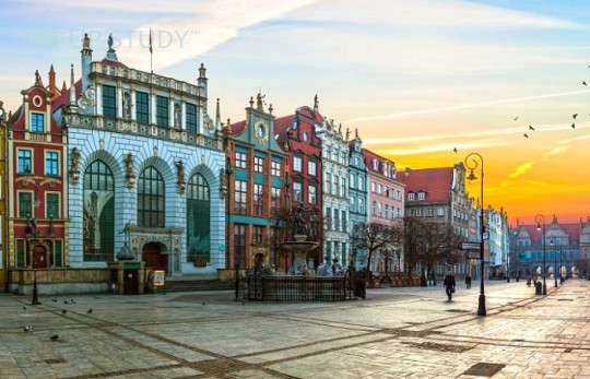 Найбільші академічні міста у Республіки Польща