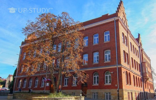 У скільки обходиться безкоштовне навчання у технікумах Польщі?