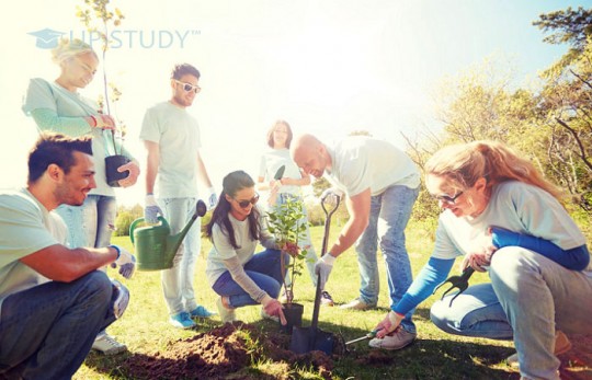 Волонтер — що він робить та як зареєструватися. Переваги діяльності для польських студентів