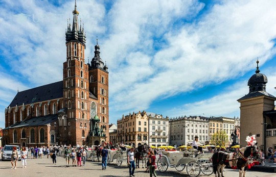 До яких університетів Кракова варто вступати, щоб отримати максимальну вигоду?