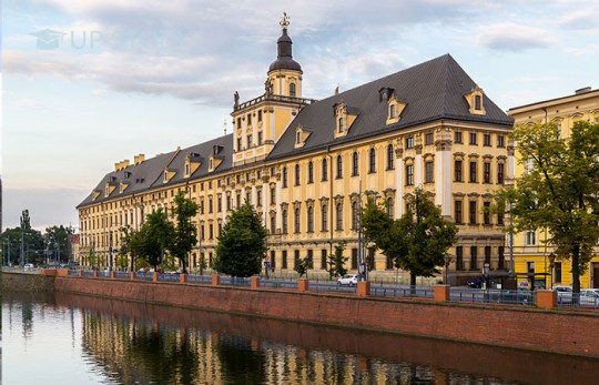 Чи дорого вчитися в Польщі?