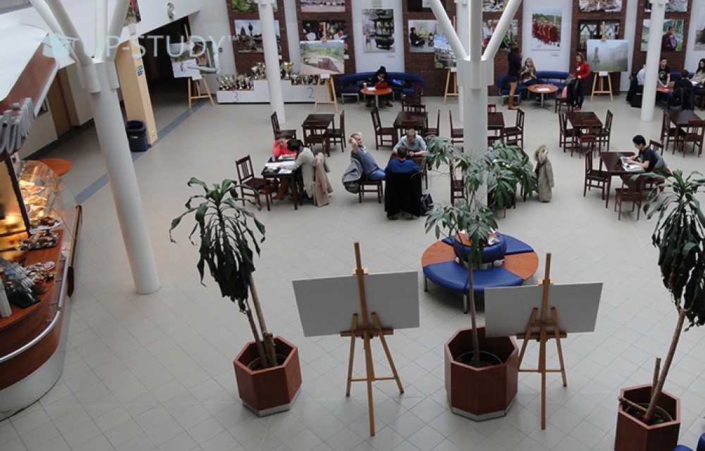 Фото №11: Академия Леона Козминского | Центр польского образования | UP-STUDY