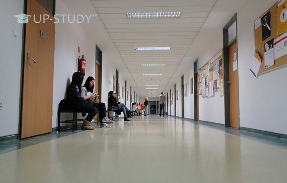 Фото №11: Університет Гуманітарних Наук і Психології | Центр польської освіти | UP-STUDY