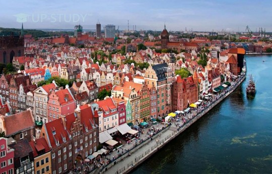 Ділимося секретом: як безкоштовно навчатися в Польщі?