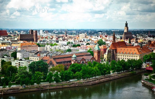 Як вступити в Польщу з України в перевірений університет?