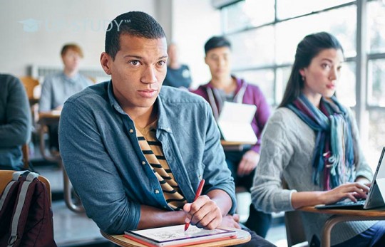 Заочне або дистанційне навчання у Польщі: чому віддати перевагу?