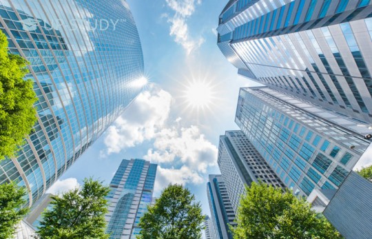 Переваги та недоліки роботи у корпорації після отримання кваліфікації у РП