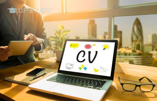 Професійні стажування — правила організації та їх курс