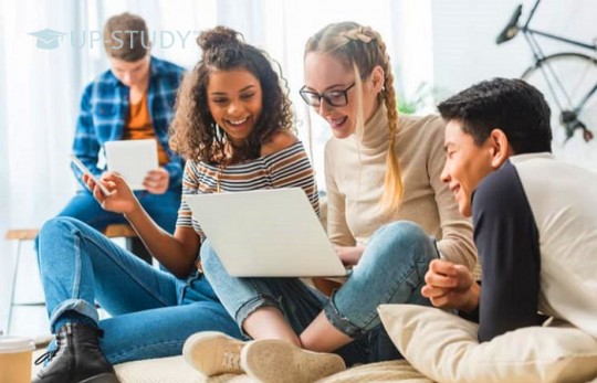 Який варіант краще: приватний або державний університет?