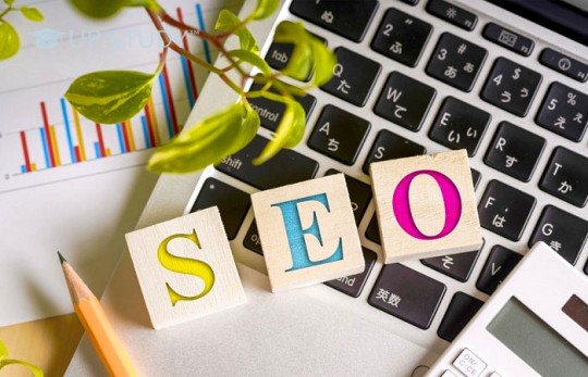 Свой бизнес – SEO-агентство. Какое образование и где получить для реализации идеи?