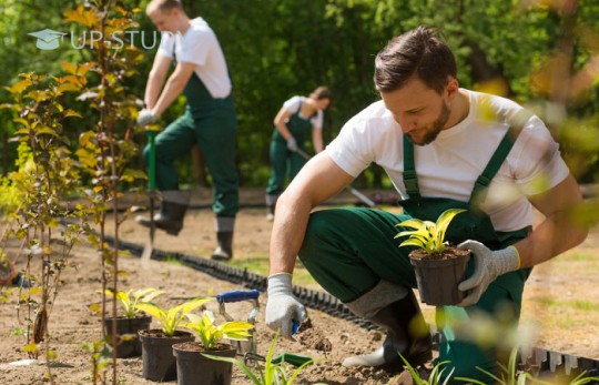 Сезонна робота у Польщі — визначення, податки, договір