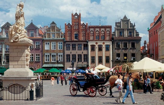 Навчання в Познані. Яке місто Польщі обрати?