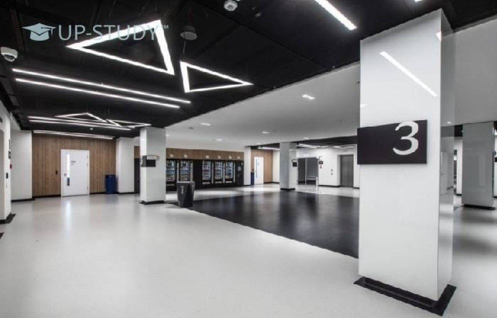 Фото №5: Университет VIZJA | Центр польского образования | UP-STUDY