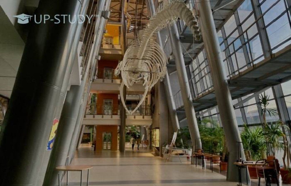 Фото №2: Гданьский университет | Центр польского образования | UP-STUDY