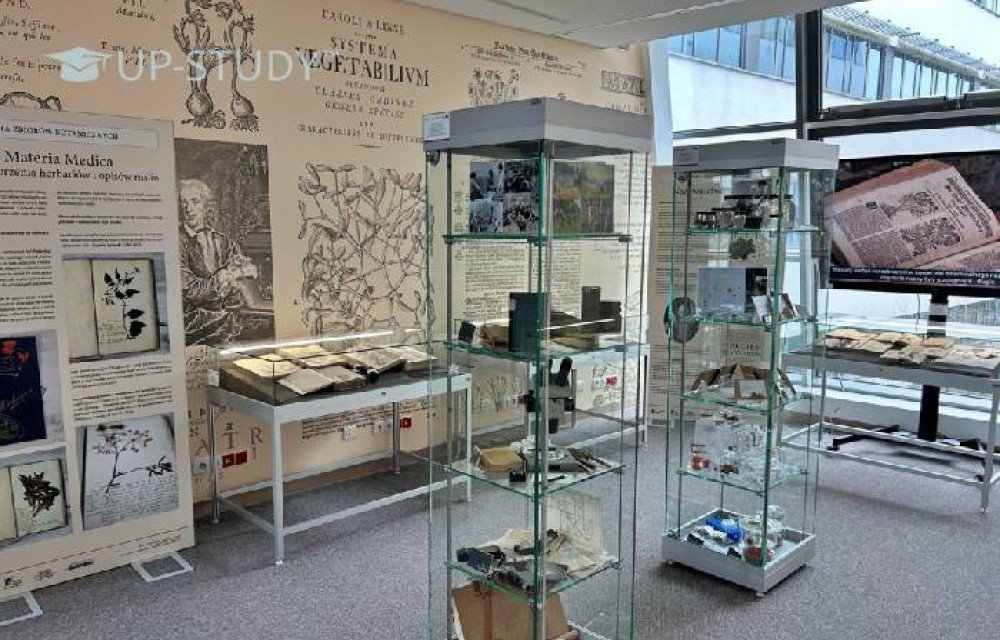 Фото №7: Гданьский университет | Центр польского образования | UP-STUDY