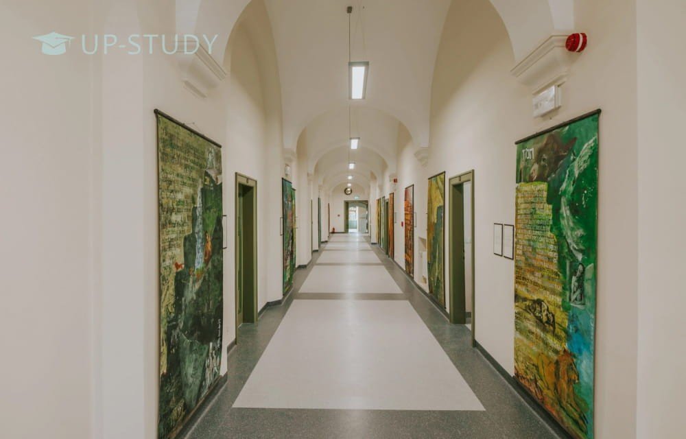 Фото №5: Вроцлавский Университет | Центр польского образования | UP-STUDY