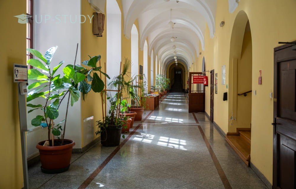 Фото №8: Вроцлавский Университет | Центр польского образования | UP-STUDY