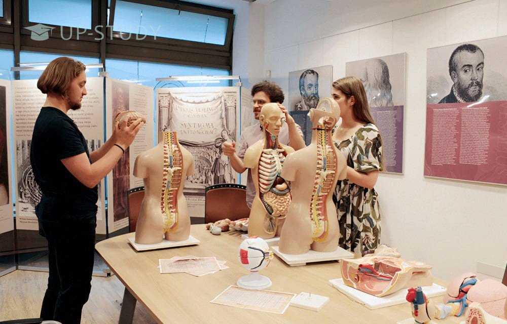 Фото №6: Варшавський Медичний Університет | Центр польської освіти | UP-STUDY