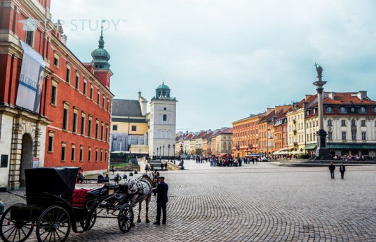 Польські роботодавці. Перспектива після закінчення університету в Польщі