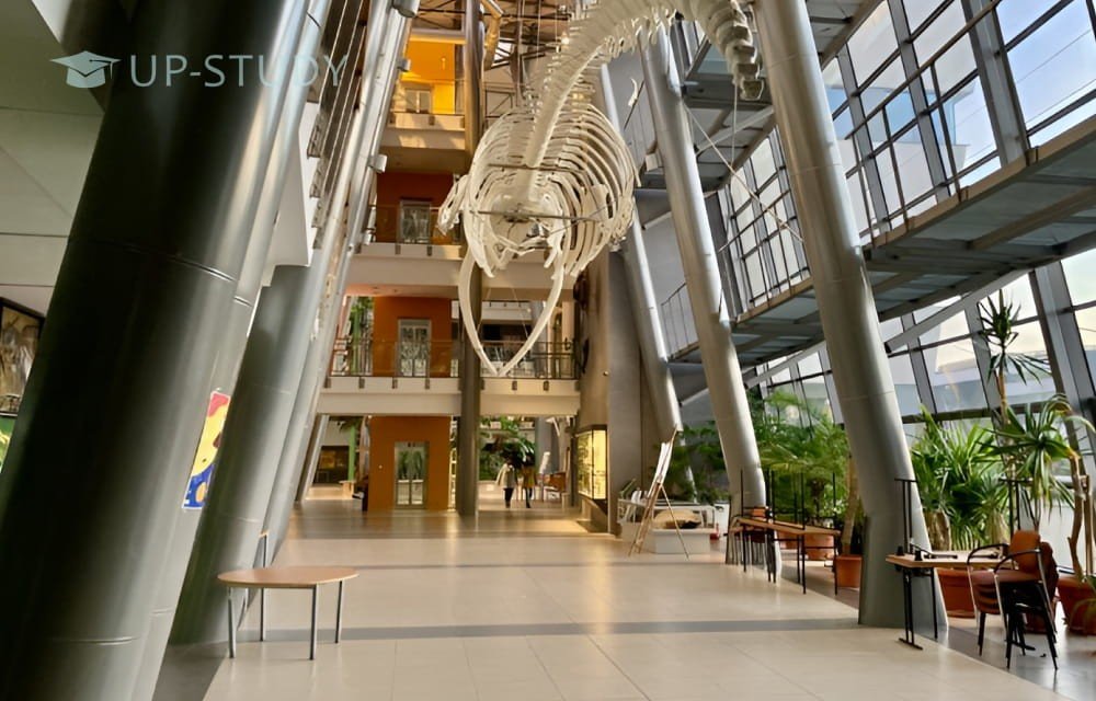 Фото №4: Гданський Університет | Центр польської освіти | UP-STUDY