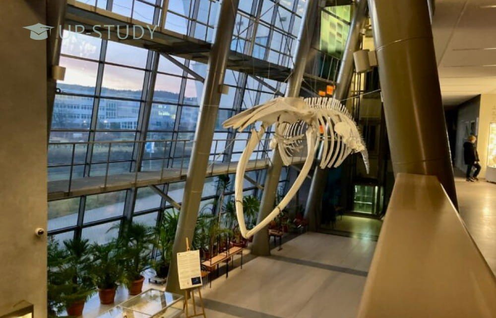 Фото №11: Гданський Університет | Центр польської освіти | UP-STUDY