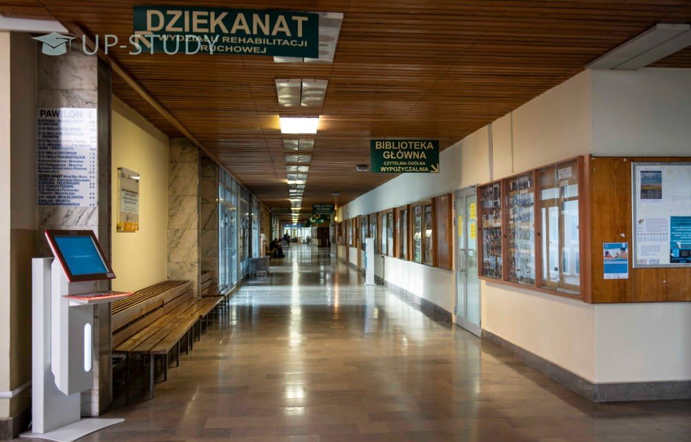 Фото №10: Академия физического воспитания им. Бронислава Чеха в Кракове | Центр польского образования | UP-STUDY