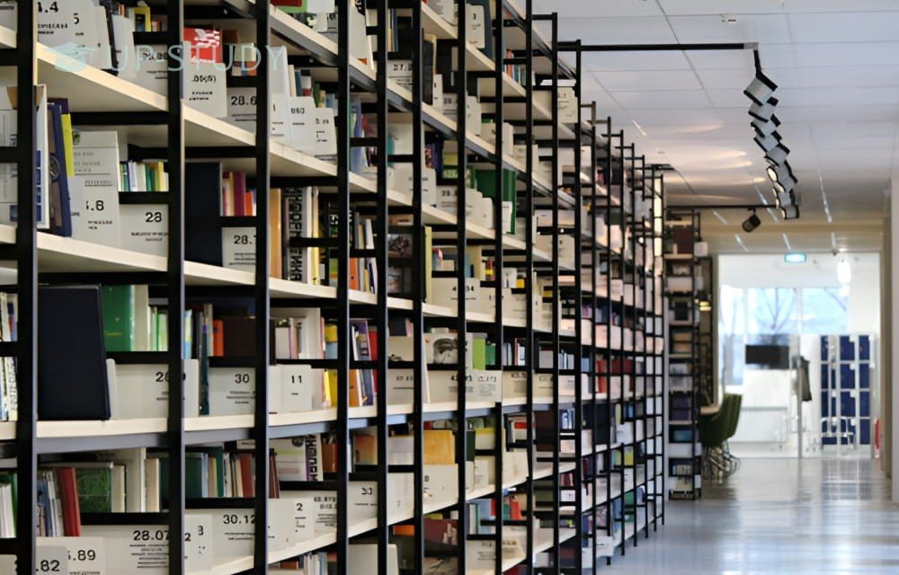 Фото №4: Университет Марии Кюри-Склодовской | Центр польского образования | UP-STUDY