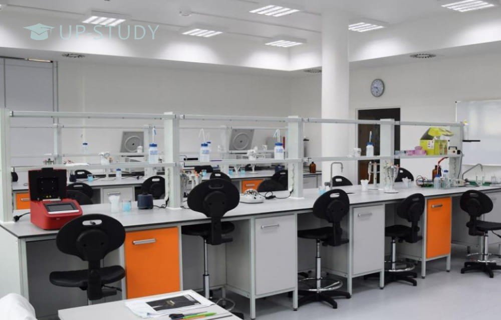 Фото №15: Університет імені Ришарда Лазарського | Центр польської освіти | UP-STUDY