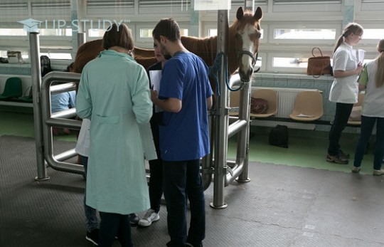 Переваги Вроцлавського Університету Природничих Наук