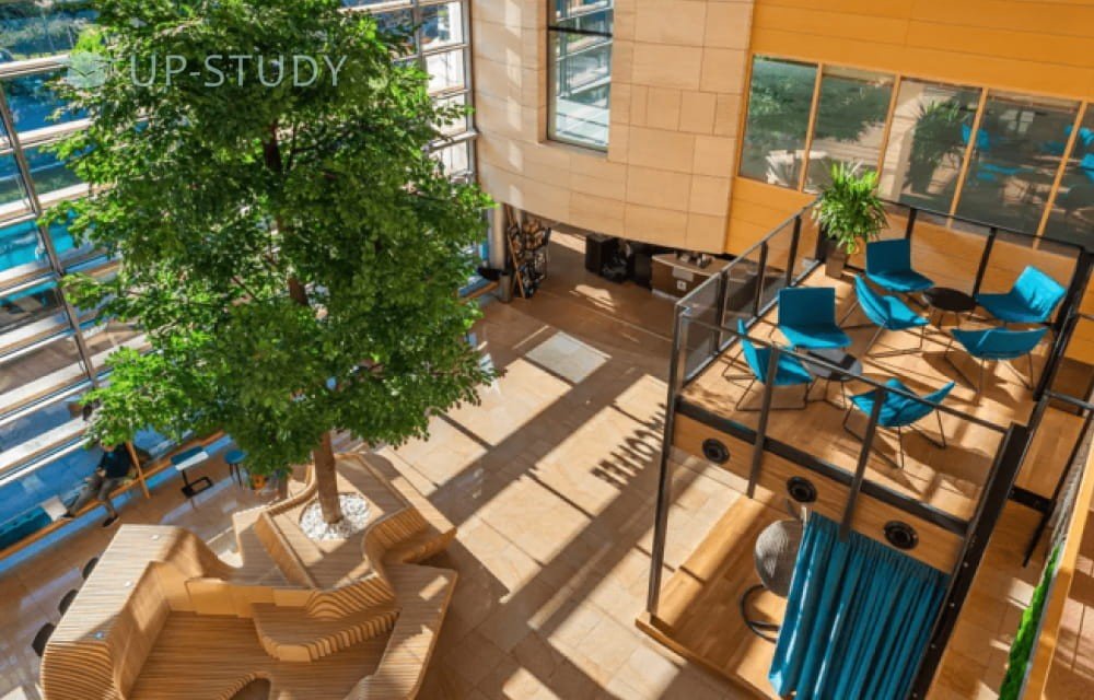 Фото №12: Университет Банковского дела MERITO в Варшаве | Центр польского образования | UP-STUDY