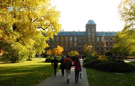 Вступ до Польщі без іспитів. Як вступити?