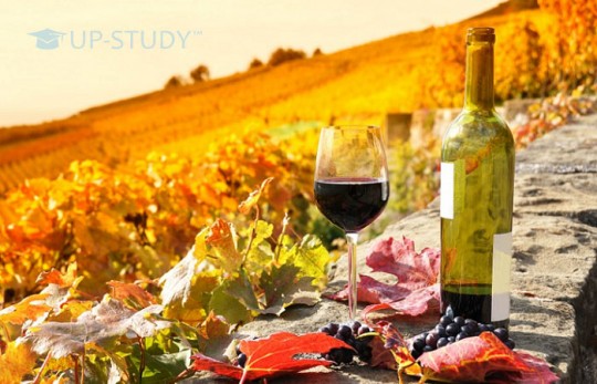 Пам'ятка студентам: «Не забудьте про подарунки для батьків на Різдво». Що унікального можна купити в Європі?