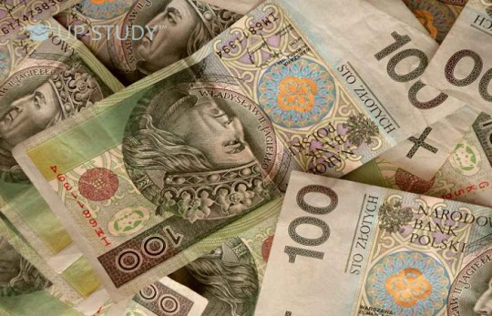 Наскільки зміниться ситуація у Польщі щодо мін. заробітної плати у наступному, 2019 році?