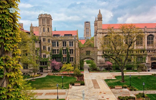 ТОП університетів світу: Чиказький Університет (University of Chicago (UChicago)). Огляд університету