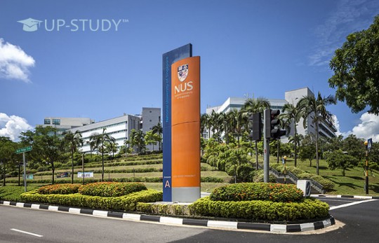 ТОП університетів світу: Національний університет Сінгапуру (National University of Singapore (NUS)). Огляд університету