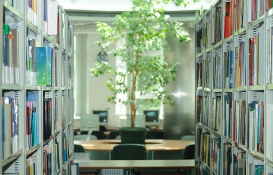 Вступай в Collegium Civitas и бесплатно учись 2 семестра в США