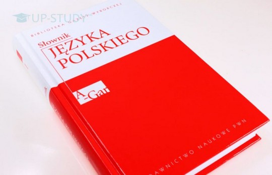 Як вивчити польську мову за 4 тижні? Міф чи реальність?